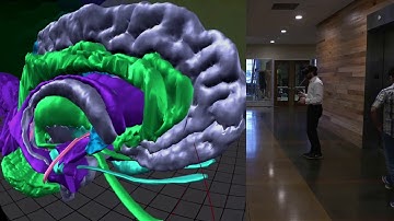 VR Neuroanatomy on the Oculus Quest