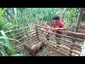 Going Home to Take Care of Mom, Back on the Farm, Future Life, Episode 69