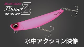 デュオ ビーチウォーカー フリッパー Z 36(DUO Beach Walker