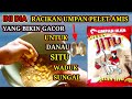 COBA DAN BUKTIKAN ‼️RACIKAN UMPAN PELET JITU ‼️COCOK UNTUK,DANAU,SETU,WADUK,SUNGAI,KOLAM