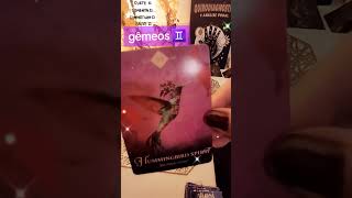 Gêmeos ♊️animais de poder #gemeos