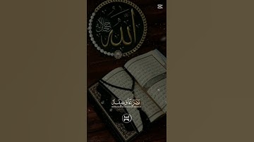 🤲و إذا قرأ القرآن فآستمعوا له تلاوة عطرة لفضيلة الشيخ ماهر المعيقلي راحة نفسية #اكسبلور #دويتو #duet