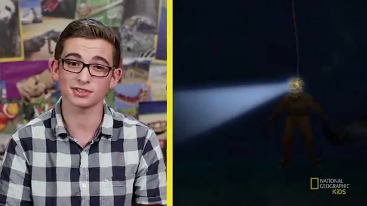 The Creepy Creatures of the Deep Sea | Nat Geo Kids Deep-sea Creatures Playlist