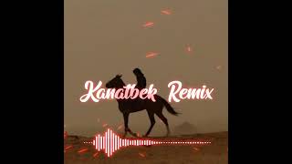 Сайгулик (Kanatbek Remix)