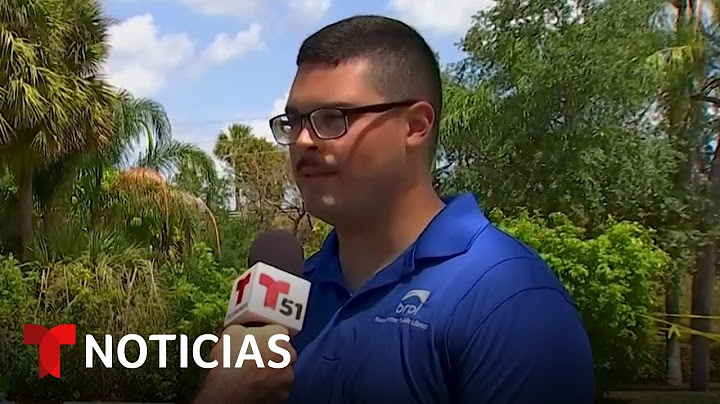 Este latino se salvó de milagro del impacto de una avioneta cerca de su auto | Noticias Telemundo