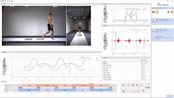 2D Markerless Tracking - Dashboard Analysis // CONTEMPLAS MULTI CAMERA SYSTEM