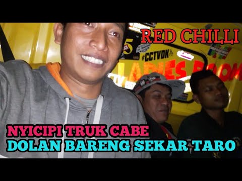  sekar  taro  dolan bareng mumpung ketemu sekalian nyicipi 