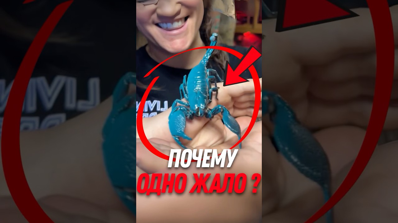 🦂 Тактика охоты скорпиона! Почему насекомые не могут спастись?