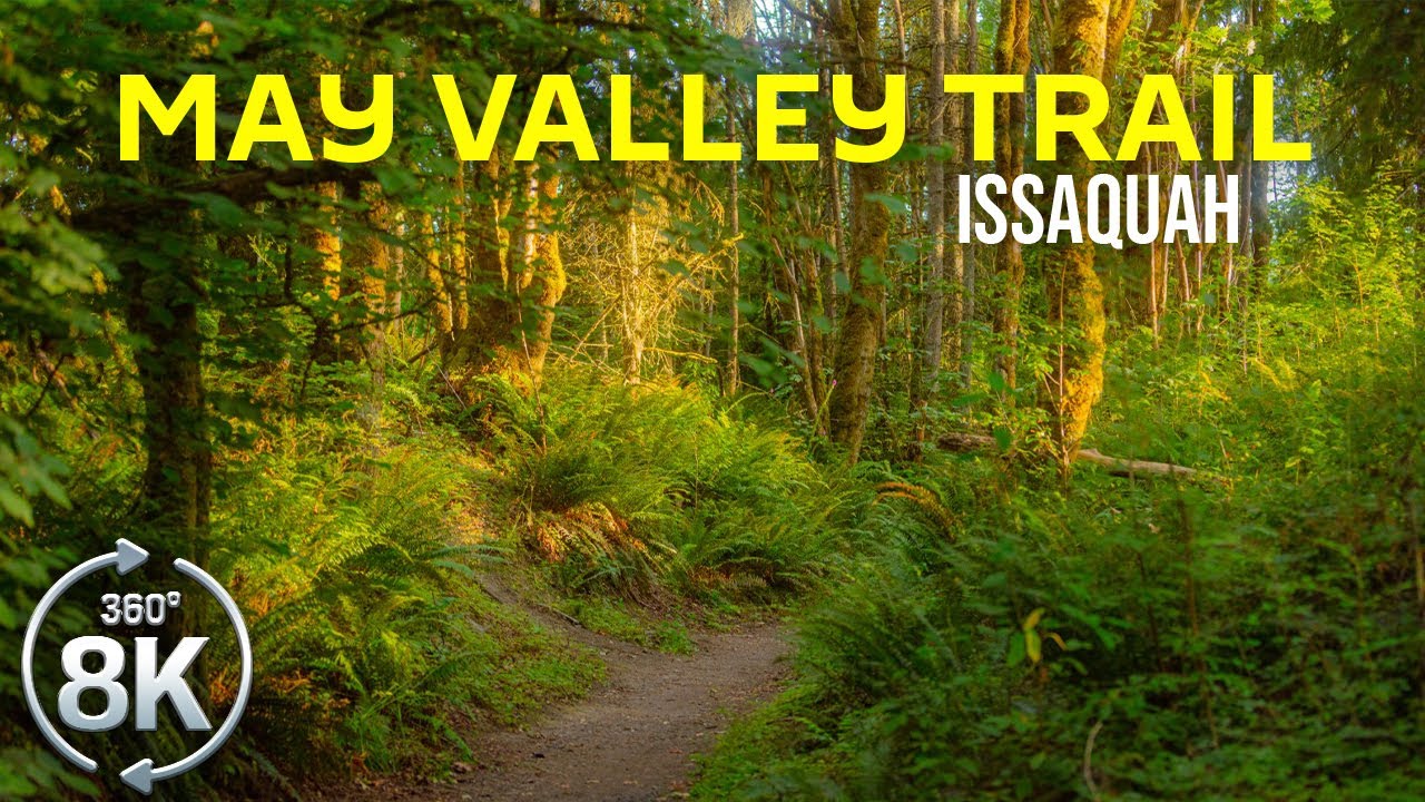 360˚ Virtual Forest Hike - Explore May Valley Loop Trail, Issaquah in ...