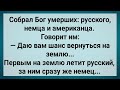 Бог Вернул На Землю Русского, Немца и Американца! Сборник Свежих Анекдотов! Юмор!