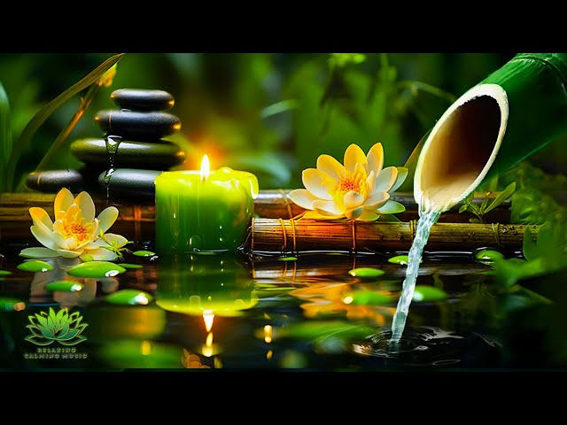 Relaxing Zen Music - Meditation Music, Peaceful Music, Bamboo,Relaxing Music,Nature Sounds, Spa, BGM class=