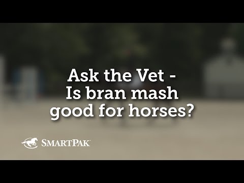 Ask the Vet - Is bran mash good for horses?