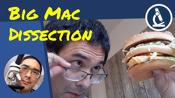 I put a BIG MAC under the Microscope
