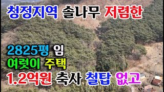 [홍성군 홍동면]산기슭 저렴한 임야2825평 축사 철탑없는 청정지 1.2억원 홍성부동산 전원주택지매매 귀농귀촌 싼땅 전문 예산부동산 충남부동산 부동산필