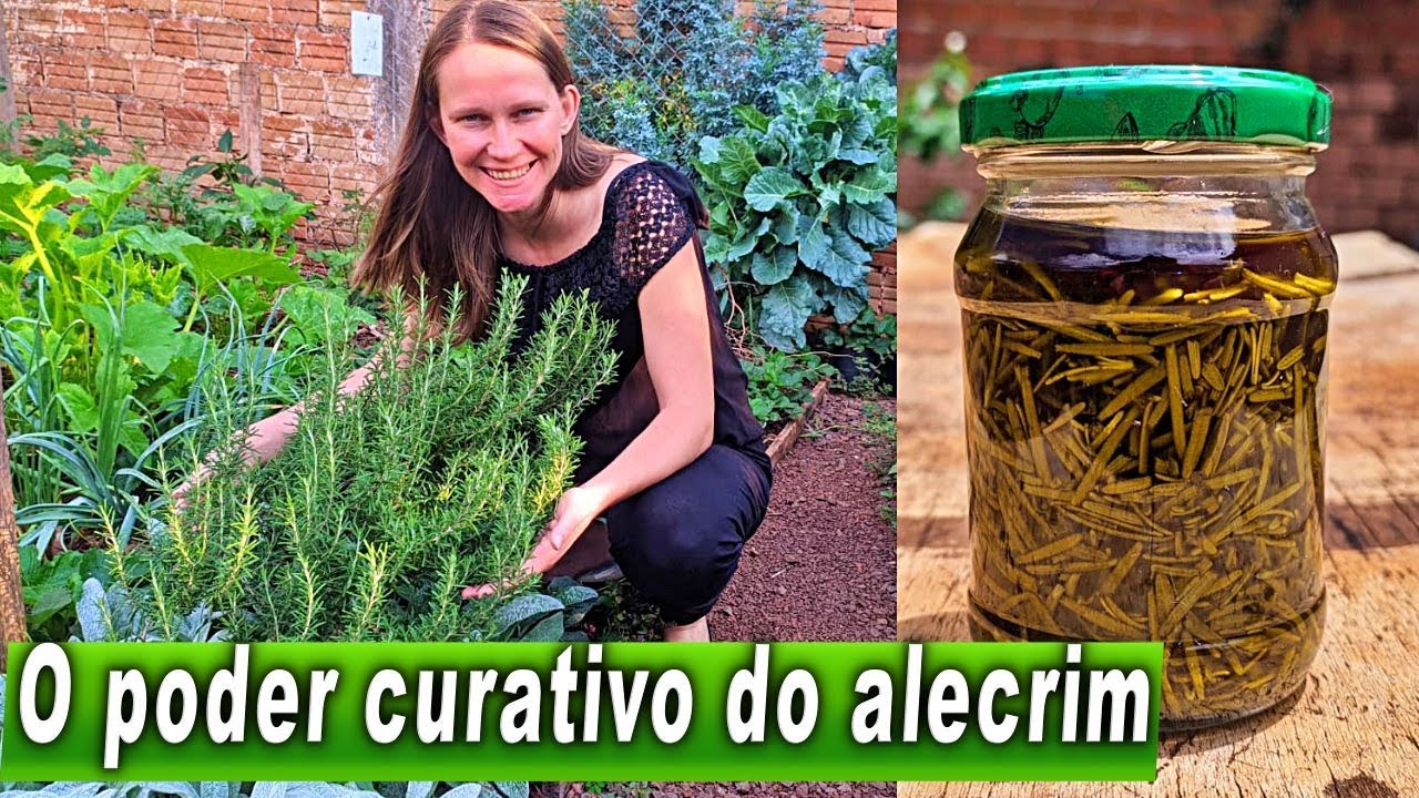 РОЗМАРИН: это растение лечит воспаления, боли в суставах и беспокойство 🌱