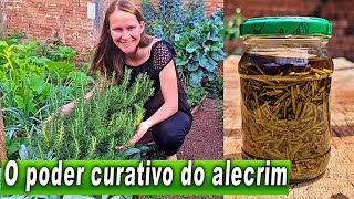 ALECRIM: essa planta trata Inflamações, dores das Articulações e Ansiedade 🌱