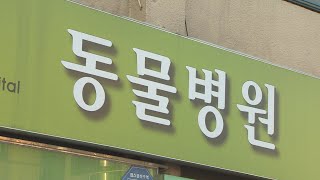 반려동물 과다 진료비 청구 차단…수의사법 개정 / 연합뉴스TV (YonhapnewsTV)