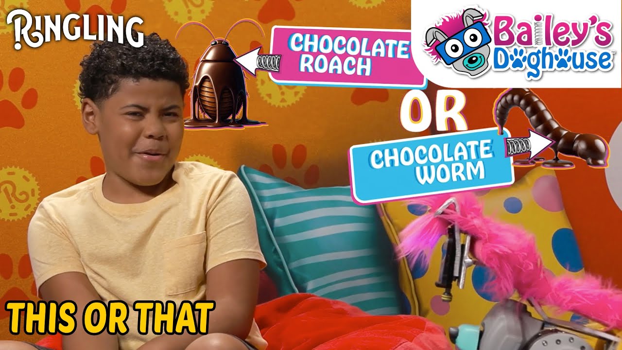 Crazy Food Choices with Bailey! |THIS or THAT | Bailey's Doghouse ‪