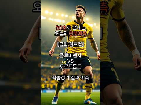 30초 승부예측 [클럽 월드컵] 플루미넨시 VS 도르트문트 경기 분석