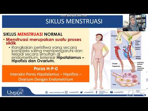 2  VIDEO SERI # 6 ; SIKLUS MENSTRUASI