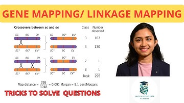 Gene mapping| Linkage mapping| Gene order| CSIR NET JRF|GENETICS| #priyaslifescienceacademy