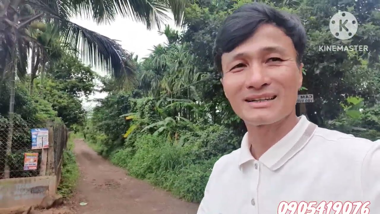 sau khi xem hết 3 vườn cau này anh em mới thấy sự quan trọng và thận trọng khi chọn mua cây giống