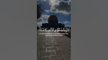 تلاوة هادئة تريح الأعصاب 😴🎧 القارئ: اسلام صبحى سورة: القصص 💙❤