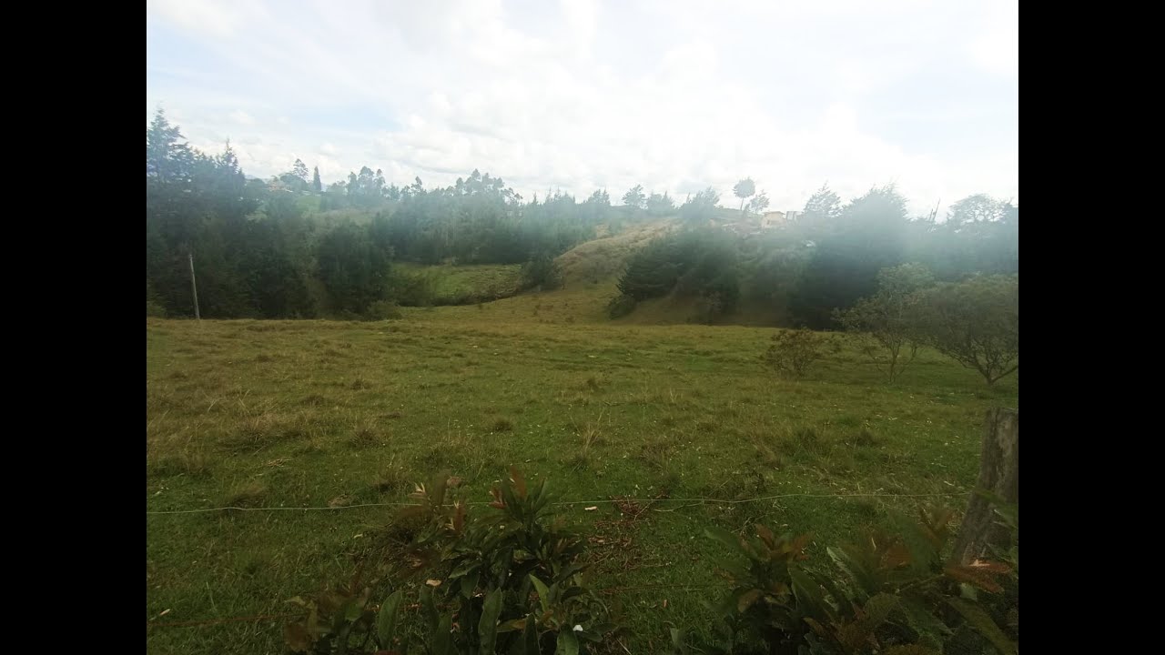 HERMOSO LOTE EN VENTA EN VEREDA SANTA BÁRBARA DE RIONEGRO 40.387 M2