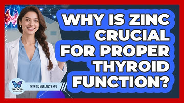 Why Is Zinc Crucial For Proper Thyroid Function? - Thyroid Wellness Hub