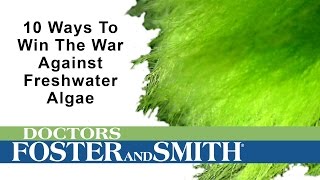 10 Ways to Control Freshwater Algae | DrsFosterSmith.com by Drs. Foster and Smith Pet Supplies 12,753 views 8 years ago 1 minute, 11 seconds
