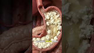 Milk turn into... watch till end and see #shorts #humanbody #science