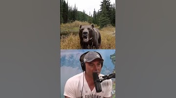 Joe Rogan Can