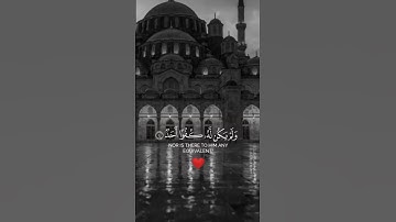 🌿 سورة الإخلاص | أعظم سور القرآن في التوحيد قُلْ هُوَ اللَّهُ أَحَدٌ ۝