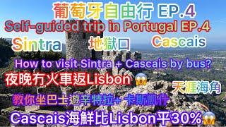 [葡萄牙EP.4] Cascais 海鮮平Lisbon 33%|教你點樣坐巴士玩Sintra+Cascais | best restaurant in Cascais #europe #美食