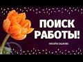 НАЙДУ ЛИ Я РАБОТУ? ЧТО ЖДЕТ В СФЕРЕ ФИНАНСОВ И КАРЬЕРЫ? смена работы таро/ расклад на судьбу