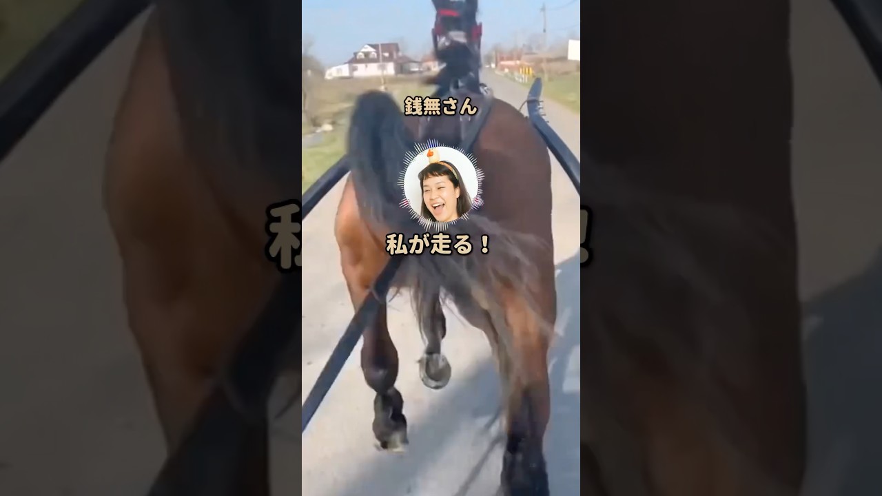 【スカッと】「ウチのが馬より速い!」銭無さんが出走した結果…w