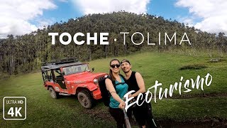 Toche Tolima | 7 LUGARES INCREÍBLES | Volcán Machín · Palmas · Cuevas|