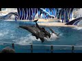 Sea World Orlando COMPLETE TOUR! 🌊🐠  Full walkthrough - All shows, rides & rollercoasters!