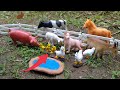 TOP 10 ANIMAIS DA FAZENDA DE BRINQUEDO!