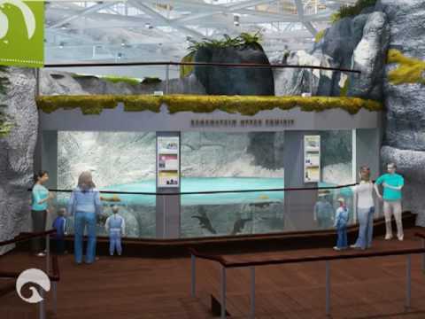 oceanarium-reimagined