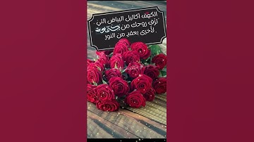 سورة الكهف 🌿🤍تلاوة هادئة خاشعة لراحة قلبك 🤍🥺