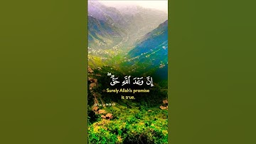 تلاوة خاشعة قرأن كريم بصوت يريح القلب #اكسبلور #duet #aslam #تلاوة #islamic_video #المصحف #trend