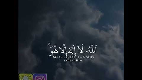 القارئ ياسر الدوسري#سورة التغابن#♥