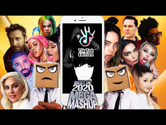 Djs From Mars - Best Of 2020 Megamashup (TikTok Edition featuring #originalpuppeteers) + Lyrics class=