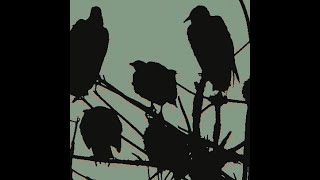 Otuka - Dont Scare The Crows