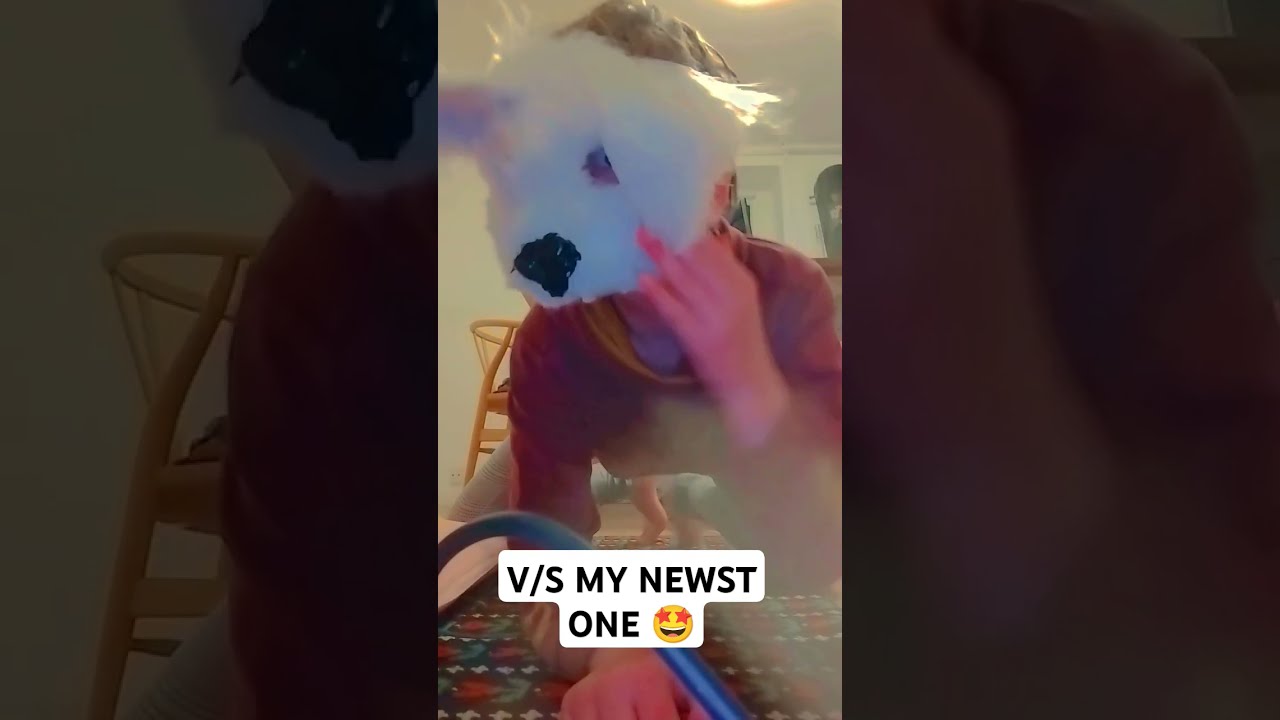 Fully Furred Mask 
