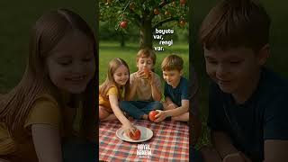 Allahın Varlığına En Büyük Delil