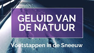 Geluid Van De Sneeuw Relaxmomentje