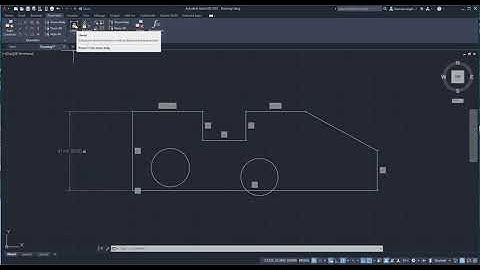 Parametric drawing AutoCAD 2022