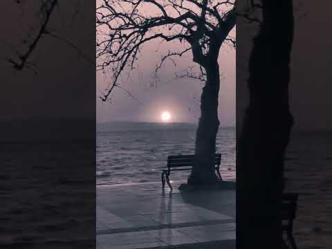 'The Plight of the Reed' by Areefa A. Sufi Music Ensemble - Ney Taksim